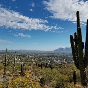 Meet your Posher, Brian